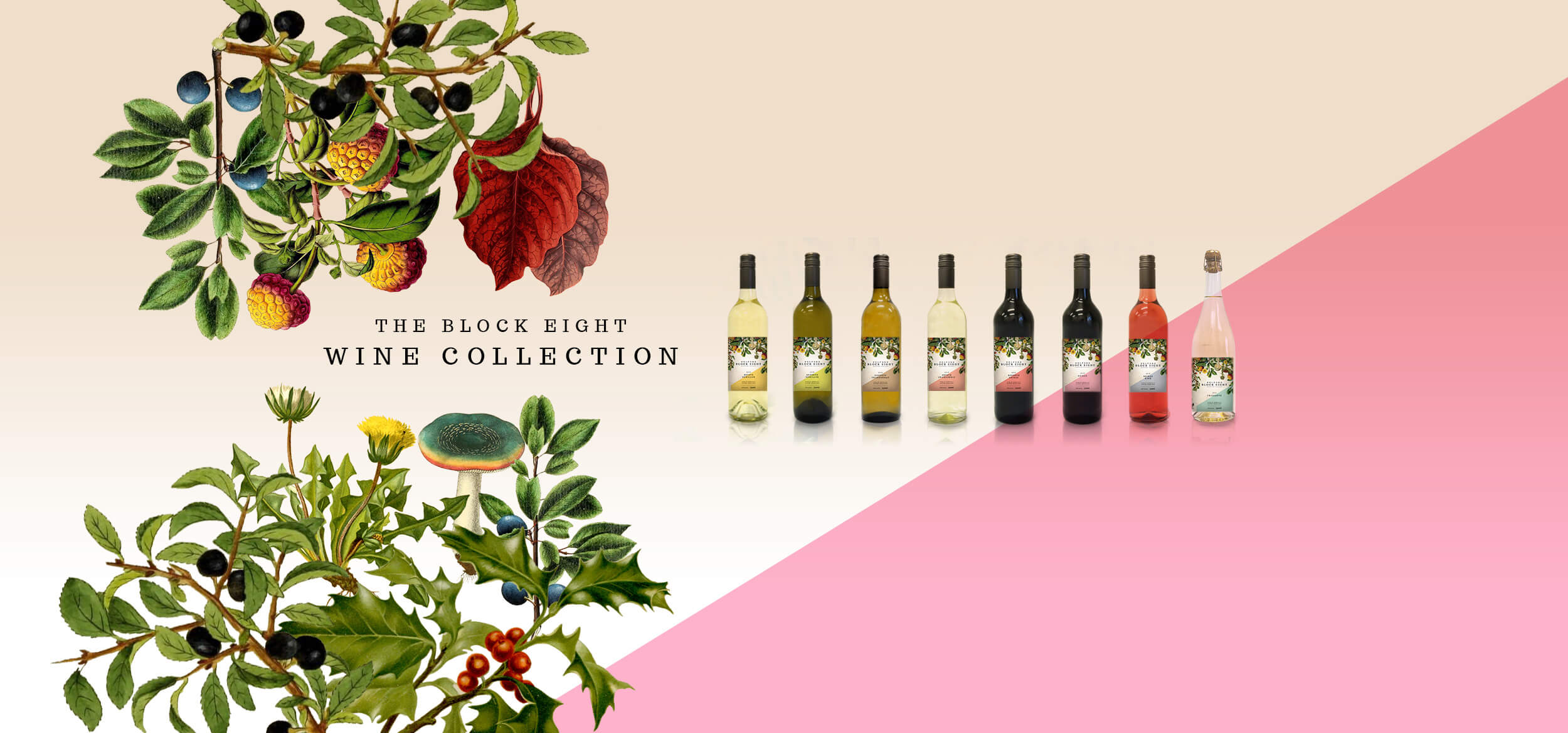 Hunter Valley Wine Tours Olive Oil